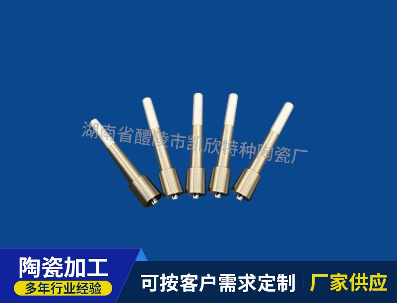 陶瓷柱塞（金属头）